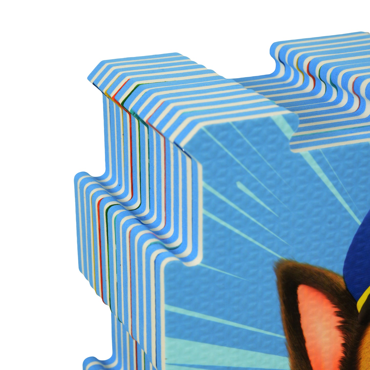 Paw Patrol 12 piece EVA Play Mat