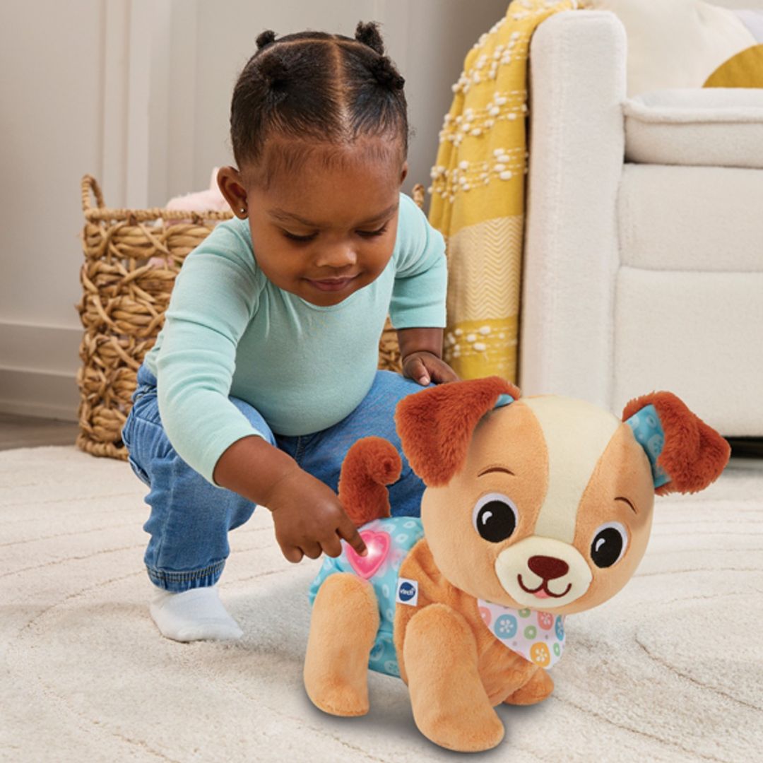 Vtech Walk & Wag Puppy