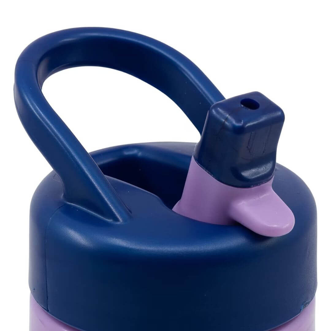 Frozen Playground Sipper Bottle 410ml