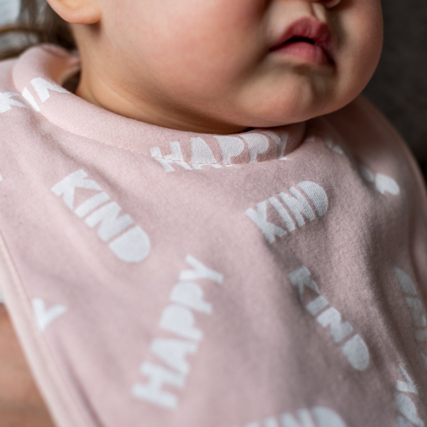 Closer to Nature Milk Feeding Bibs 2 Pack