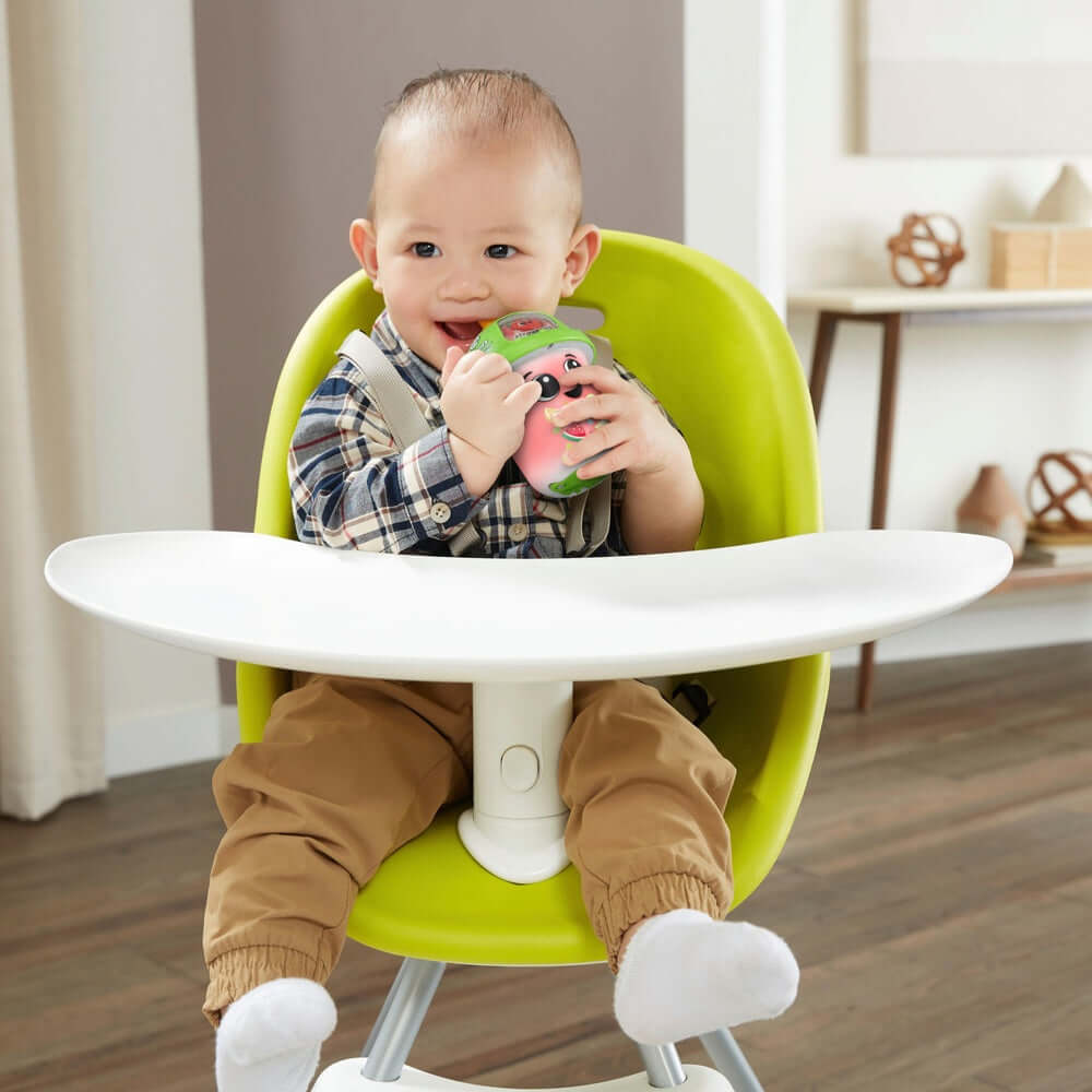 Fruit Colours Learning Smoothie