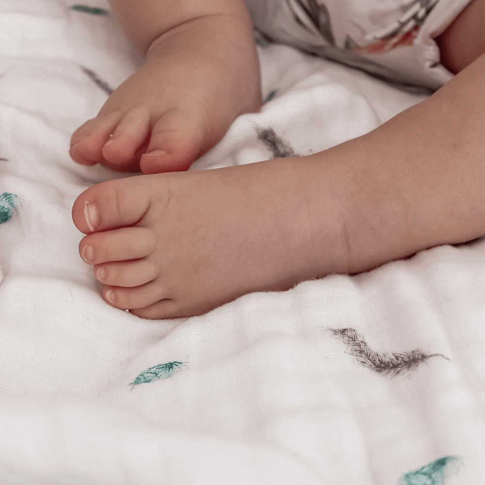 Baby Muslins (3 Pack)