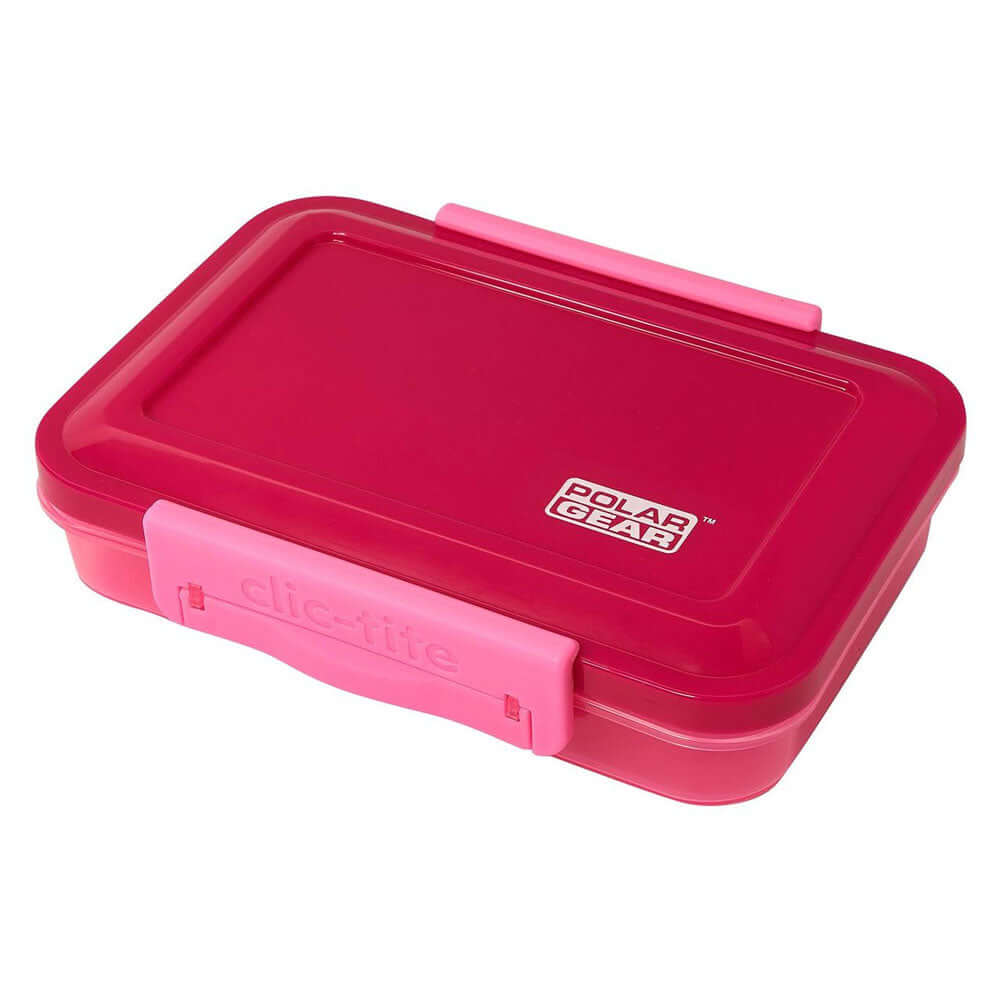 Polar Gear 4 Piece Lunch Set Berry/Pink
