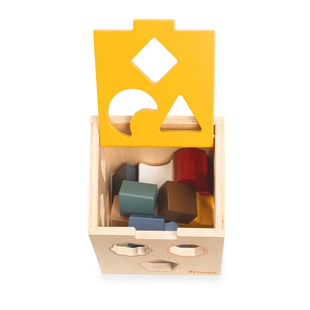 Sort N Tidy Wooden Sorting Cube