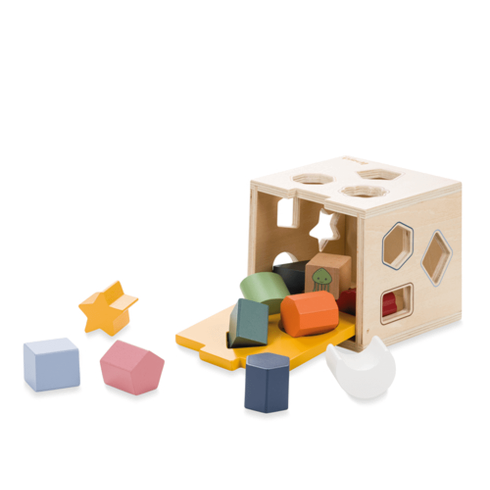 Sort N Tidy Wooden Sorting Cube