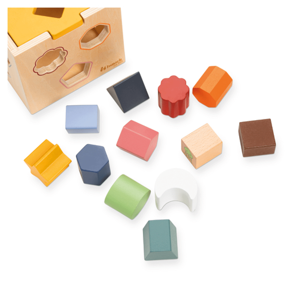 Sort N Tidy Wooden Sorting Cube