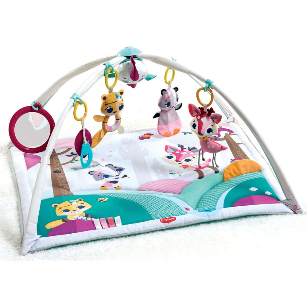 Gymini Deluxe