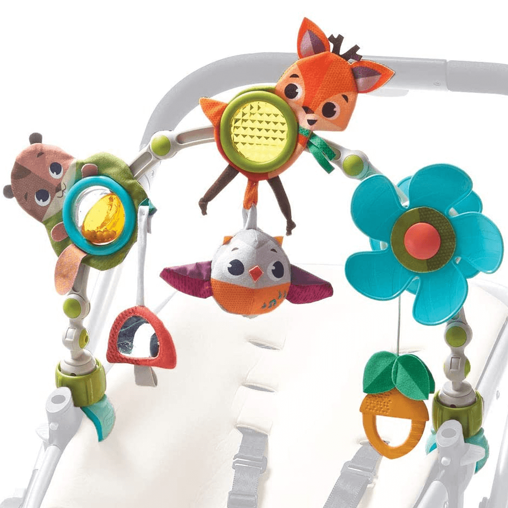 Musical Nature Stroll Into the Forest