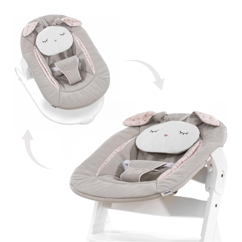Alpha Bouncer 2-in-1