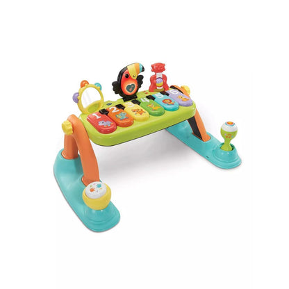 Vtech 5-in-1 Toucan Tunes Play Gym
