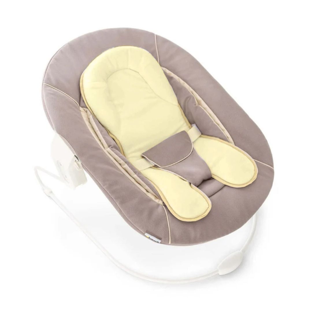 Alpha Bouncer 2-in-1