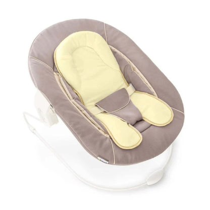 Alpha Bouncer 2-in-1