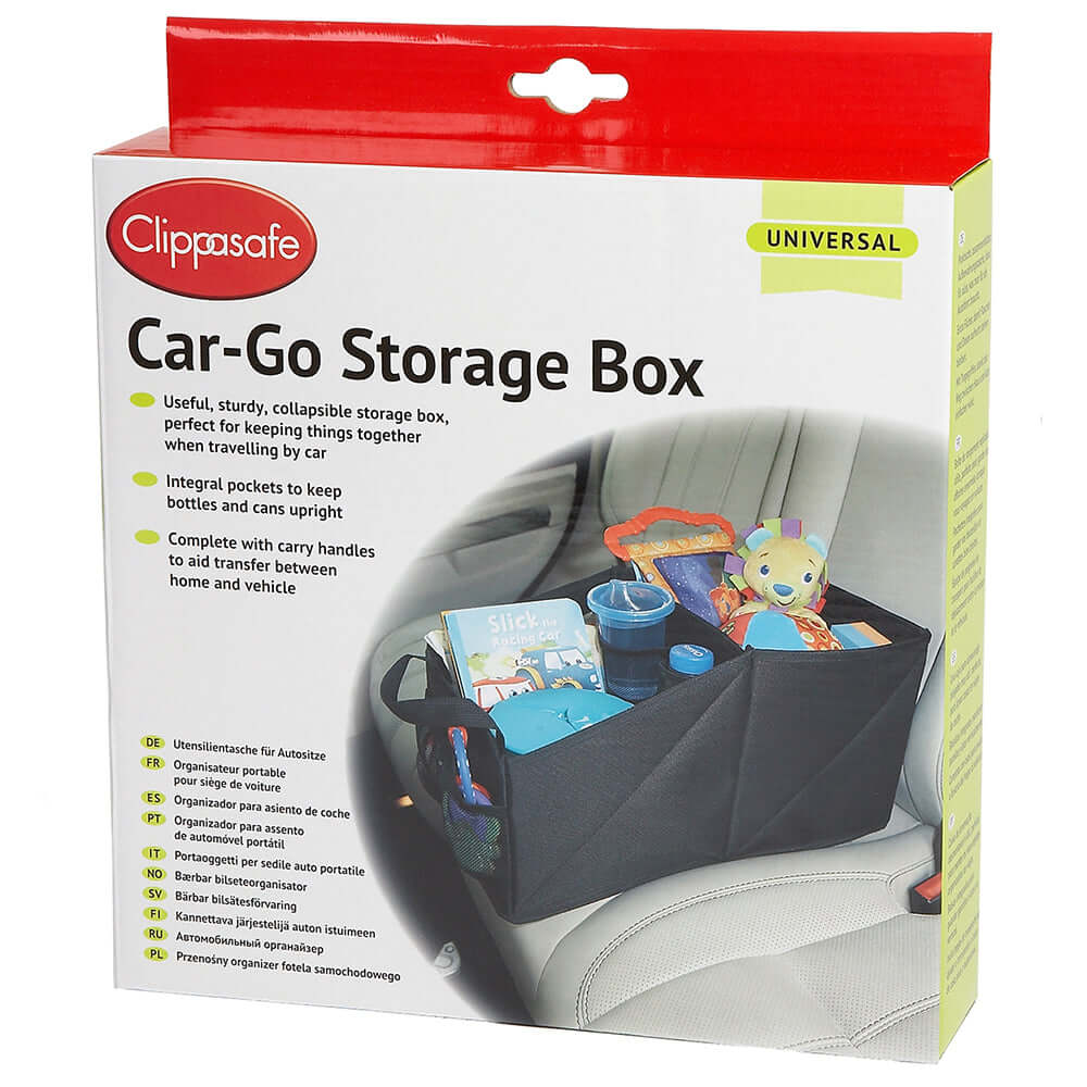 Car-Go Storage Box