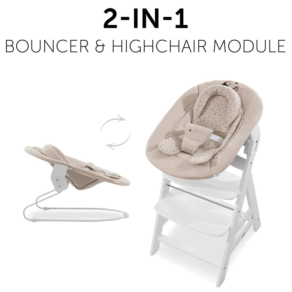 Alpha Bouncer 2-in-1