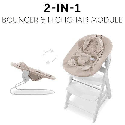 Alpha Bouncer 2-in-1