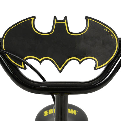 Batman My First 12" Bike