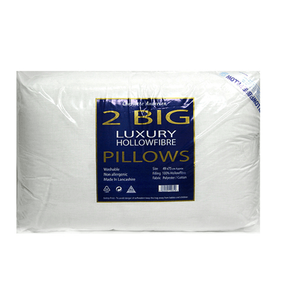 Everyday Soft Twin Pack Hollofibre Pillow