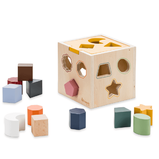 Sort N Tidy Wooden Sorting Cube