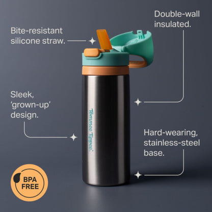 Tommee Tippee Stainless Steel Insulated Bottle Flask, 500ml, 24m+