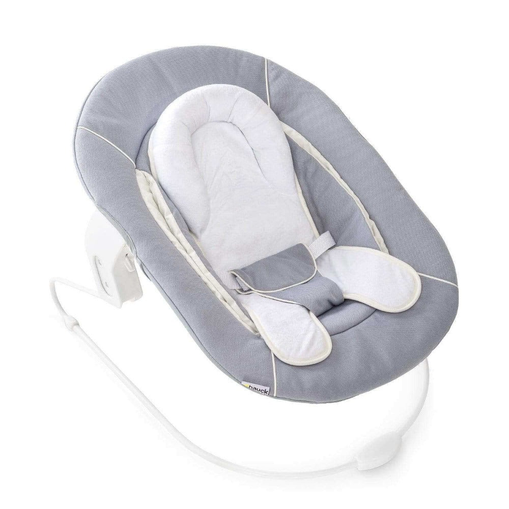 Alpha Bouncer 2-in-1